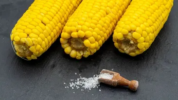 Nu este o GLUMĂ! Cât a ajuns să coste un singur porumb fiert în Mamaia, în iulie 2025