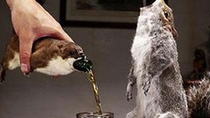 Ati bea bere din animale impaiate?