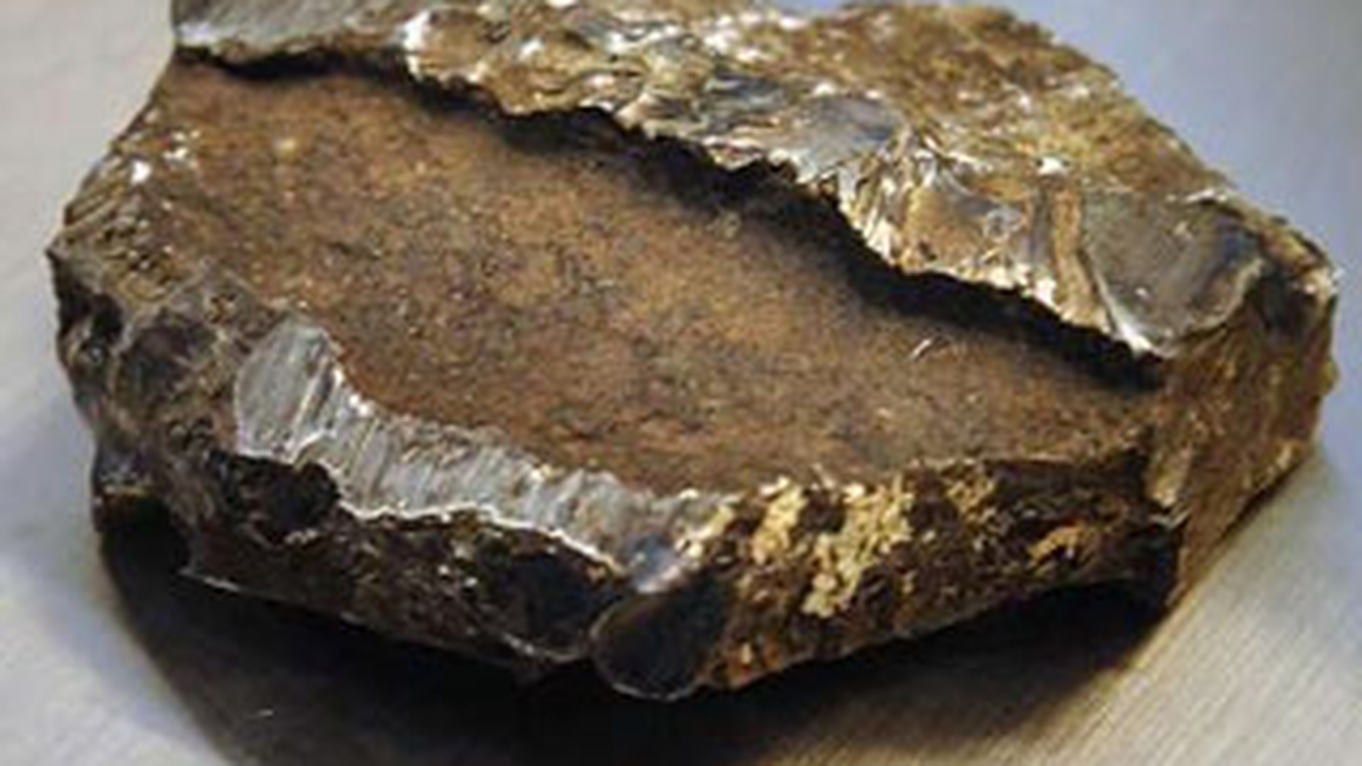O bucata de meteorit a cazut pe o proprietate din centrul orasului Oslo