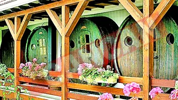 Dorm in butoaie de vin, cu 150 de dolari pe noapte