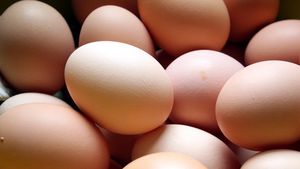 Nu o sa-ti vina sa crezi ce fel de ou a gasit in gospodaria sa! Barbatul nu s-a indurat sa-l gateasca!