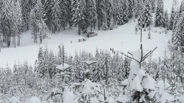 Statiunea Harghita Bai a ramas fara energie electrica dupa ce un brad a rupt firele de tensiune!