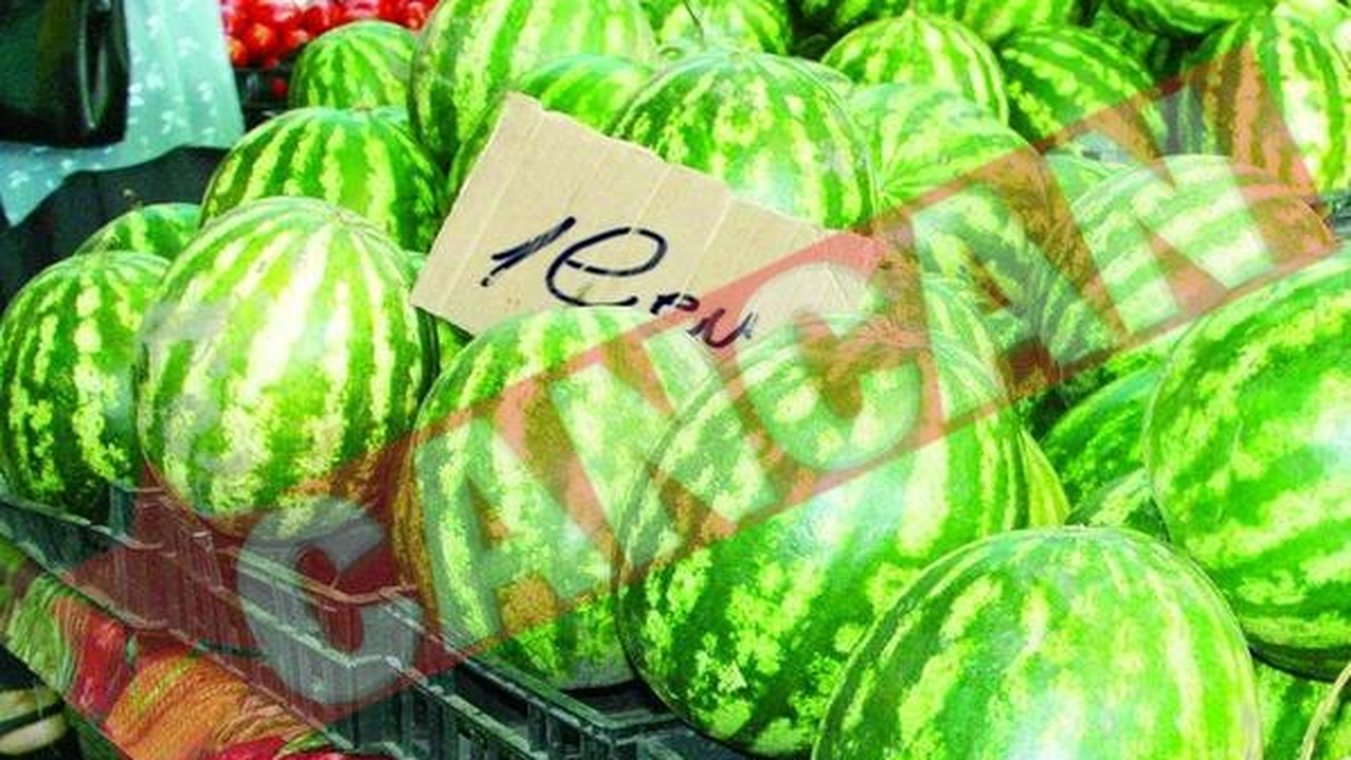 Pepenii de la Dabuleni, "made in Turcia"