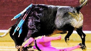 Toreador mutilat de tauri-a bagat coarnele in ochi