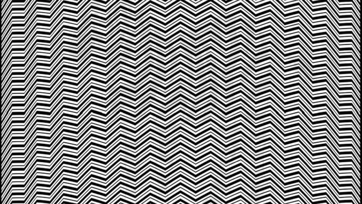 Iluzie optică virală | Ce animal vezi în această fotografie?