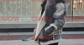 Galerie foto - poza 2