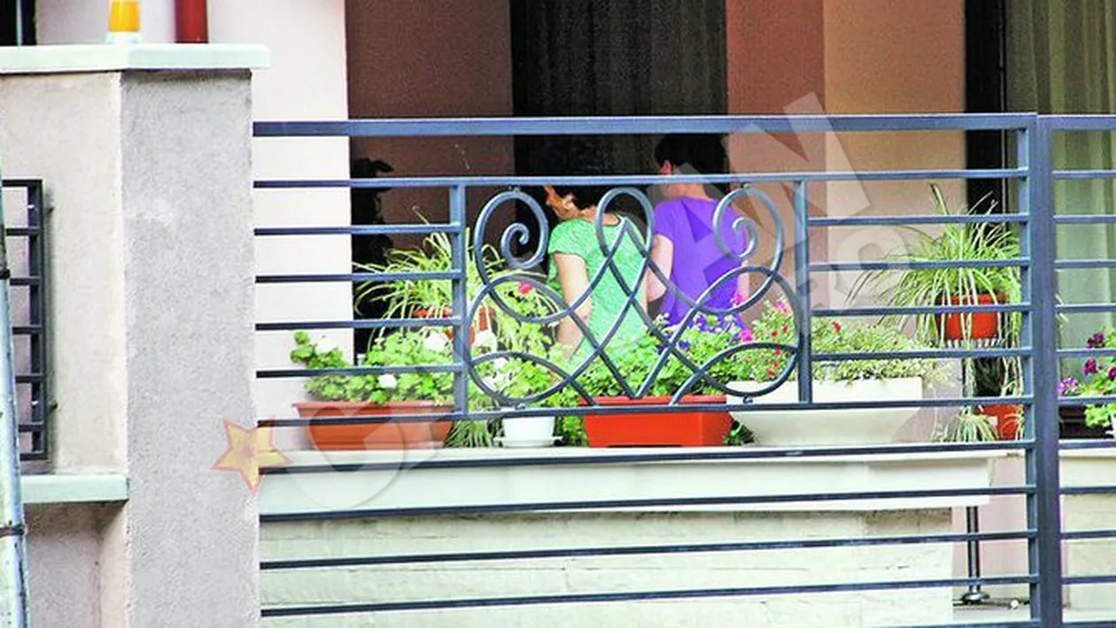 Vila din Calarasi, luata cu asalt de o armata de muncitori si arhitecti! Cumnata redecoreaza casa milionarului Naghi