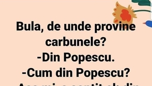 BANC | "Bulă, de unde provine cărbunele?" "Din Popescu"