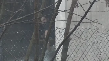 O celebră prezentatoare de la Antena s-a trezit cu Poliţia la uşă! Totul are legătură cu dosarul Elenei Udrea!