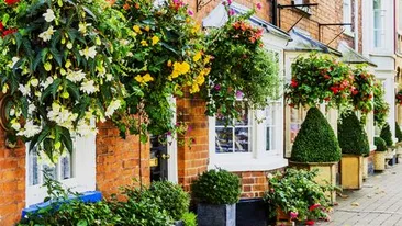 Culmea tupeului! O femeie a fost pusă de proprietarul unui resort să-i ude toate florile din fața conacului, în vacanță, în timp ce el locuia vizavi