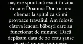 Galerie foto - poza 4