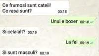 BANCUL ZILEI | Ce frumoși sunt cățeii. Ce rasă sunt?