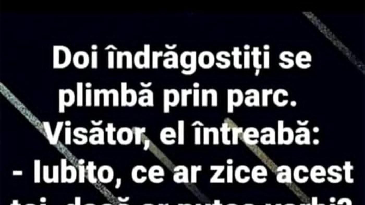 BANC | Doi îndrăgostiți se plimbă prin parc