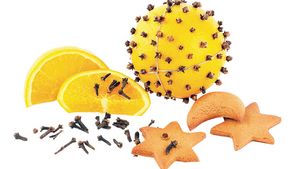 Caminul ecologic "Fructele-chihlimbar", ideale pentru copii!