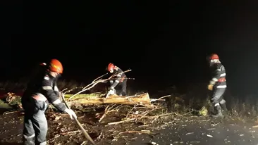 Vijeliile au făcut ravagii în Teleorman. Copaci căzuți peste mașini și peste firele de electricitate