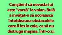 BANC | Bulă și nevasta șoferiță