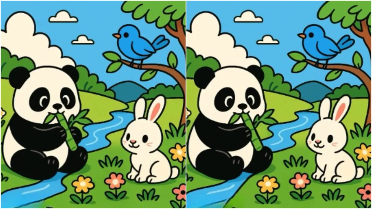 Test de perspicacitate | Aceste două imagini par identice, dar nu sunt. Găsiți 3 diferențe în 15 de secunde