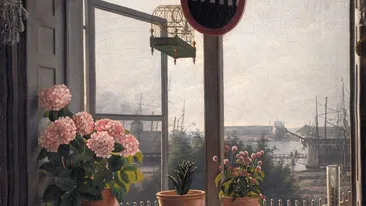 Cum să călătorești în vreme de pandemie? Grupul de Facebook care a devenit viral: „Ce vezi de la fereastra ta?