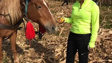 ANAMARIA PRODAN, afacere incredibilă! Impresara şi soţul ei deţin o fermă de porci foarte rari în România!