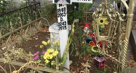 Galerie foto - poza 3