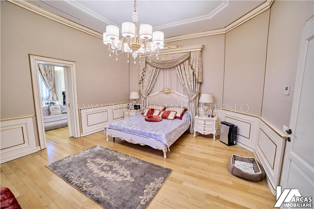 Casa lui Adrian Kreiner/ Sursa foto: Arcaș Imobiliare