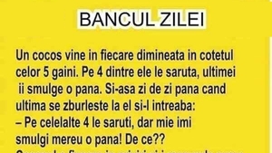 BANC | Cocoșul vine în fiecare dimineață în cotețul celor 5 găini. Pe primele 4 le sărută, ultimei îi smulge o pană