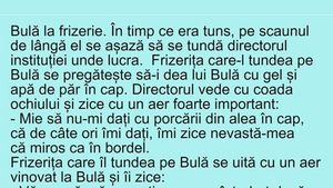 BANC | Bulă, directorul și frizerița