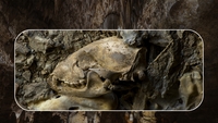 Locul misterios din Bihor unde au fost găsite oase de urși de cavernă! Ce pot vedea turiștii în interior
