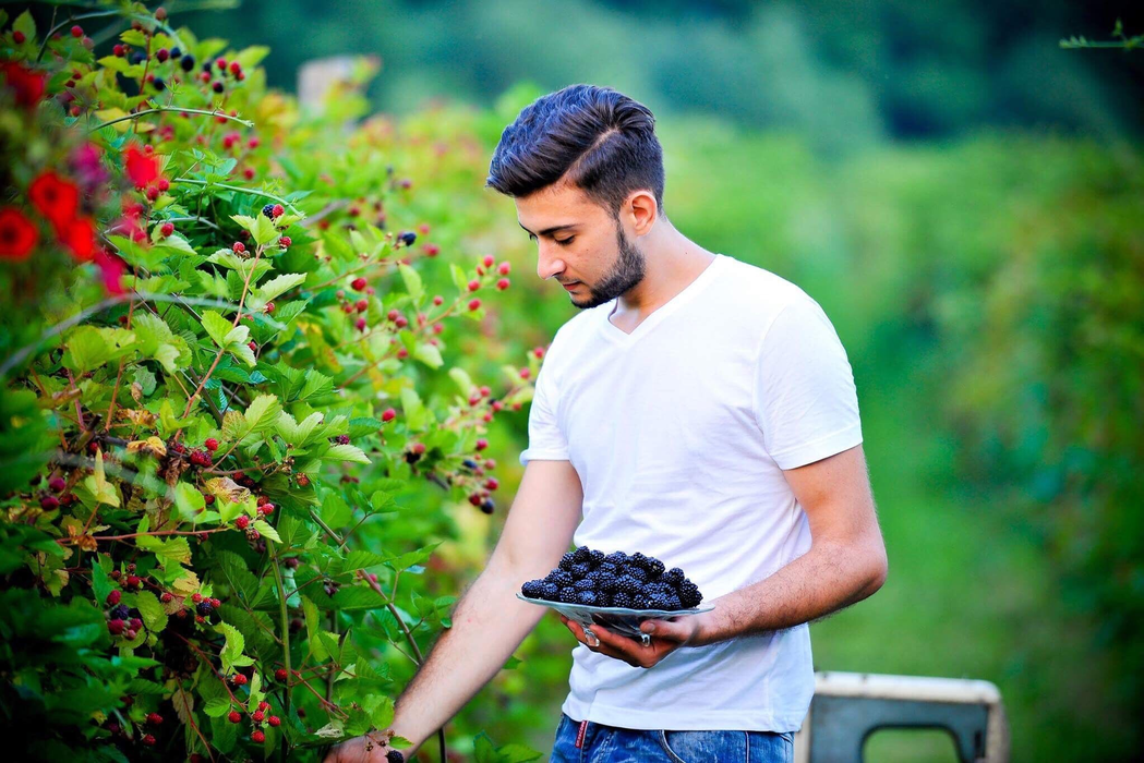 Ionel Burtea are răbdare să crească afacerea cu vin de mure, reinvestind constant profitul