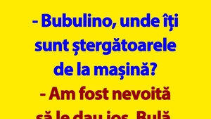 BANC | Bulă și ștergătoarele de la mașina Bubulinei