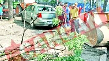 Furtuna a facut ravagii