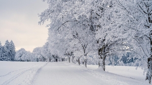 Când vin ninsorile în România, potrivit ANM. Sărbători cu temperaturi neobișnuite