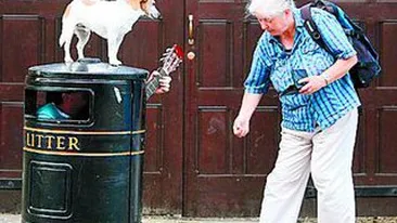 Canta in tomberon pazit de caine