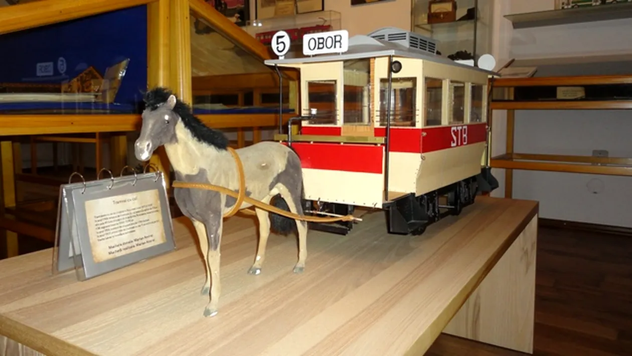 IMAGINI DE ARHIVA Primele mijloace de transport din Bucuresti: tramvaiele trase de cai. Armasarii erau castrati! Vezi de ce