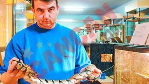 El e doctor de serpi!