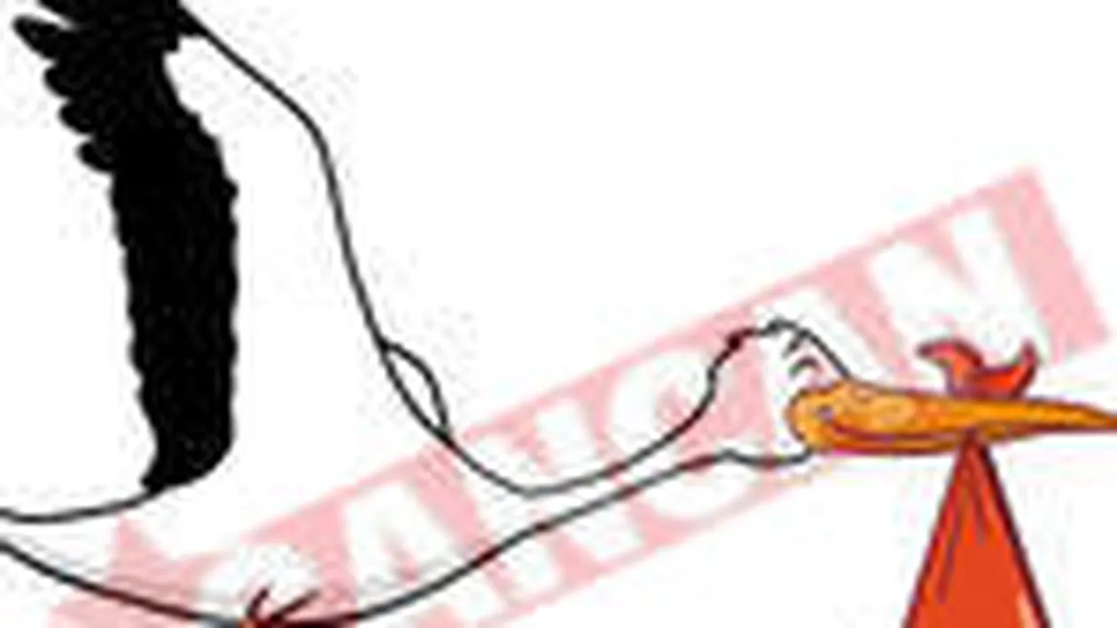 Cele mai bune metode pentru a concepe un copil