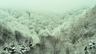 Circulatia pe Valea Oltului este inchisa din cauza pericolului de avalanse de pe versanti
