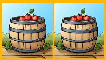 Test de perspicacitate | 3 diferențe în 13 secunde: Le puteți găsi pe toate? Foarte puțini o văd pe cea de-a treia