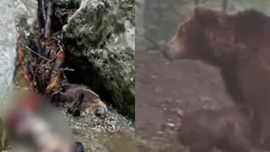 A chemat-o moartea 😢 Maria Diana a fost cea care a ales poteca către cascada Urlătoarea, deși inițial voia să exploreze alt traseu