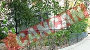 Copaci sacrificati de Primaria Sectorului 3 pentru parcari