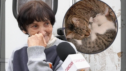 Povestea bătrânei de 70 de ani care trăiește într-o rulotă în cartierul milionarilor. 50 de pisici îi țin loc de familie!