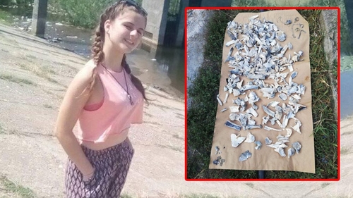 Lovitură de teatru în cazul crimelor de la Caracal! Alexandra trăiește?! "Nu se confirmă existența niciunui raport de la INML care să ateste că există ADN-ul din oase este al ei"