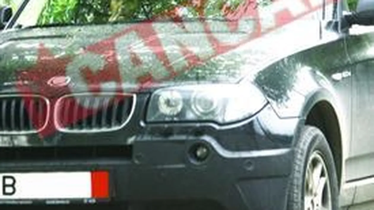 Giugiuleala in masina