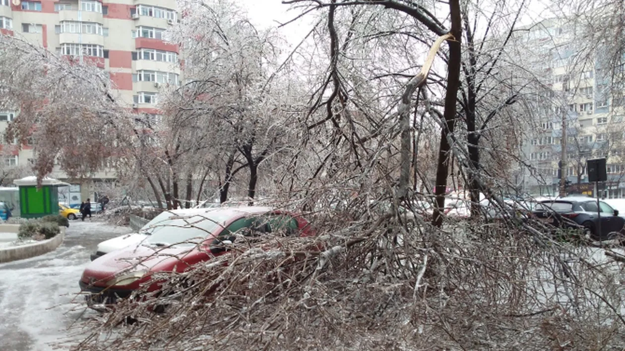 Șase copaci căzuți din cauza furtunii în Capitală, trei mașini avariate. Doi pietoni au fost răniți