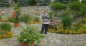 Galerie foto - poza 2