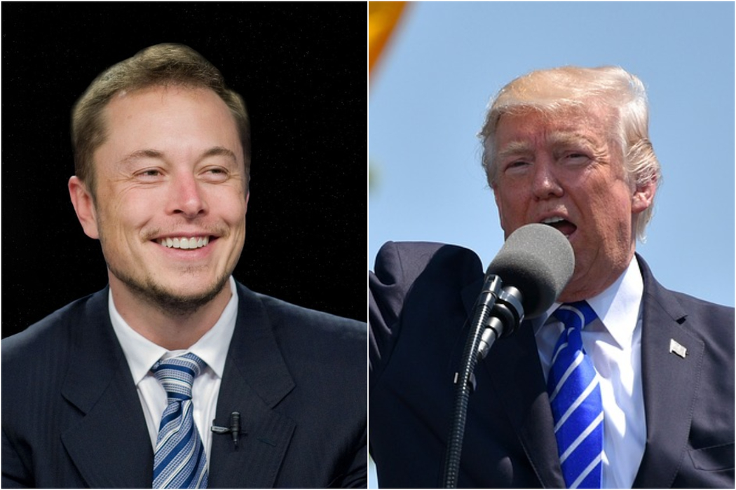 Elon Musk și Donald Trump / sursă foto: Pixabay