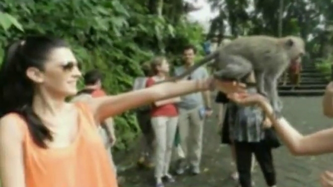 Adrian Ropotan si Raluca Ogica, vacanta de vis in Bali! Au hranit maimutele cu banane si s-au distrat la maximum!