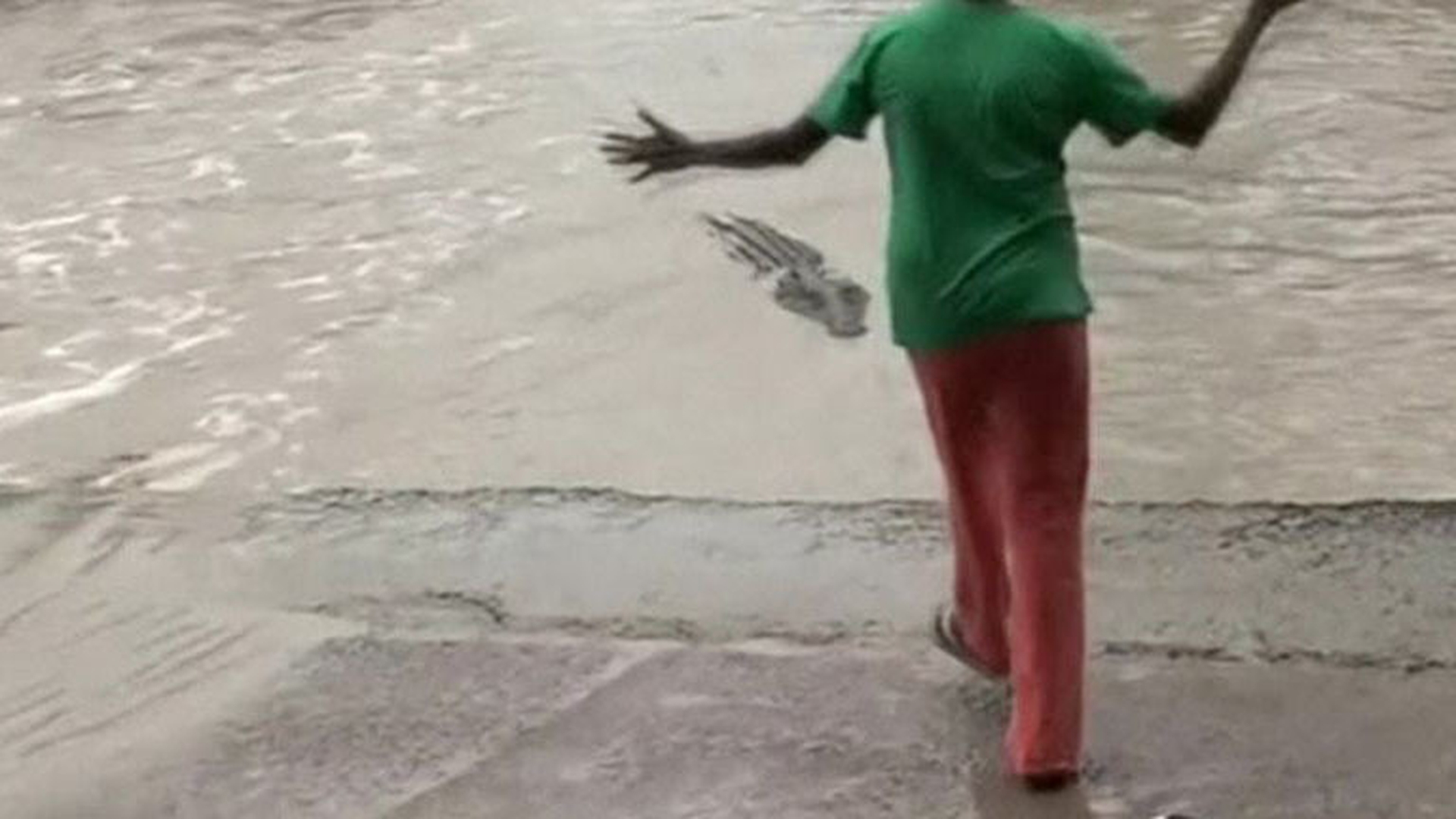 Această femeie a pus un crocodil pe fugă doar c-un şlap! Imaginile incredibile au devenit virale instant