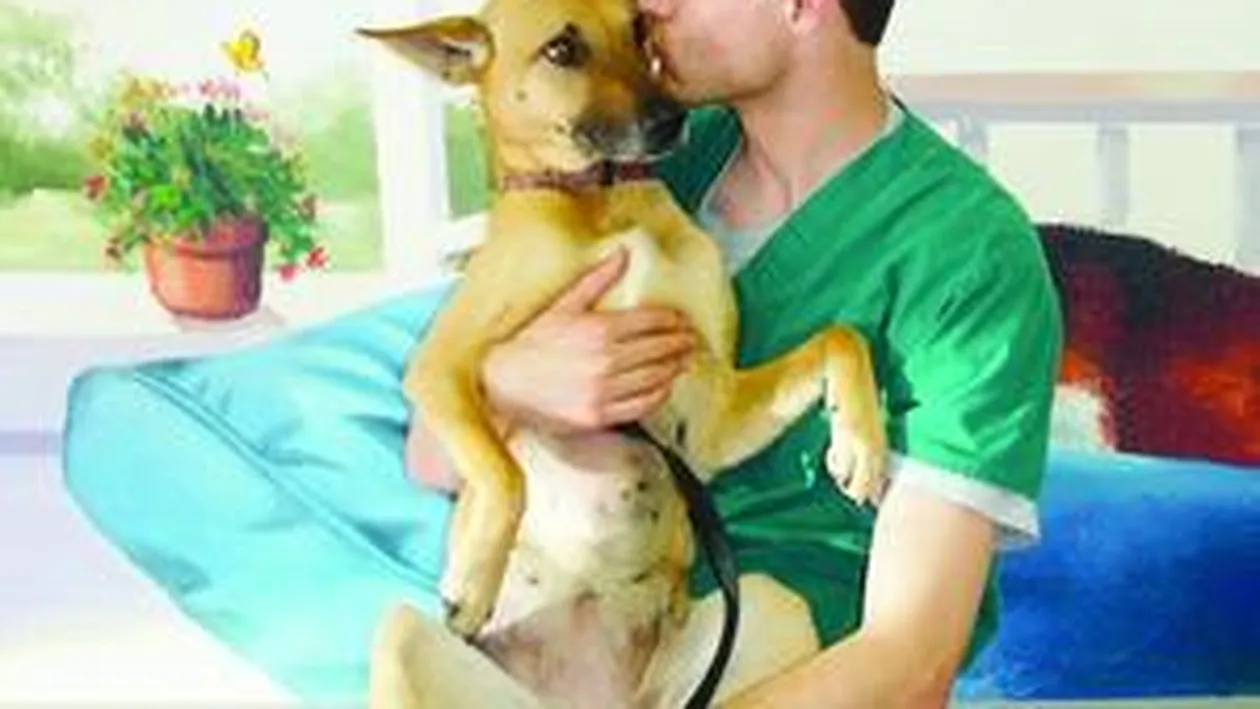 Operatii de 15.000 de euro pentru caini