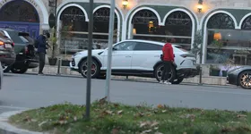 Galerie foto - poza 2